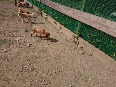 f:id:roukenhome-ann:20190814114306j:plain f:id:roukenhome-ann:20190814114306j:plain