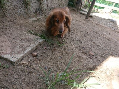 f:id:roukenhome-ann:20190814114318j:plain f:id:roukenhome-ann:20190814114318j:plain