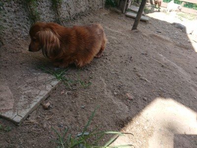 f:id:roukenhome-ann:20190814114324j:plain f:id:roukenhome-ann:20190814114324j:plain
