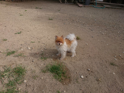 f:id:roukenhome-ann:20190814114403j:plain f:id:roukenhome-ann:20190814114403j:plain
