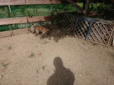 f:id:roukenhome-ann:20190814114407j:plain f:id:roukenhome-ann:20190814114407j:plain