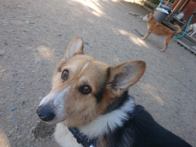 f:id:roukenhome-ann:20190814114411j:plain f:id:roukenhome-ann:20190814114411j:plain