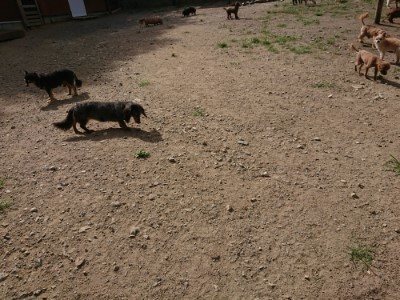 f:id:roukenhome-ann:20190814114428j:plain f:id:roukenhome-ann:20190814114428j:plain