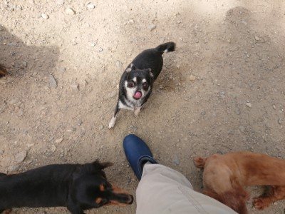 f:id:roukenhome-ann:20190814114450j:plain f:id:roukenhome-ann:20190814114450j:plain