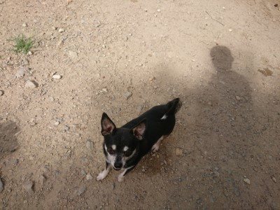 f:id:roukenhome-ann:20190814114456j:plain f:id:roukenhome-ann:20190814114456j:plain