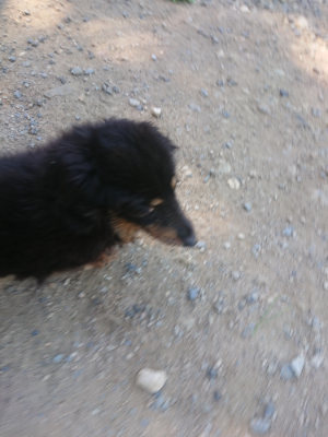 f:id:roukenhome-ann:20190814114519j:plain f:id:roukenhome-ann:20190814114519j:plain