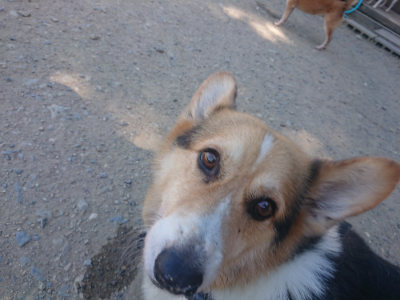 f:id:roukenhome-ann:20190814114548j:plain f:id:roukenhome-ann:20190814114548j:plain