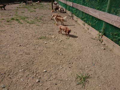 f:id:roukenhome-ann:20190814114602j:plain f:id:roukenhome-ann:20190814114602j:plain