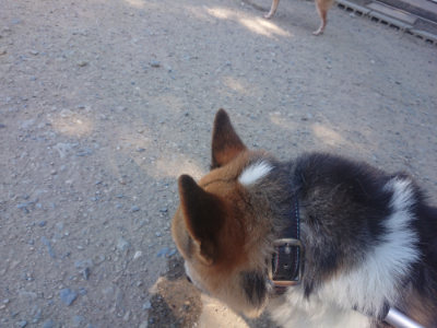 f:id:roukenhome-ann:20190814114608j:plain f:id:roukenhome-ann:20190814114608j:plain