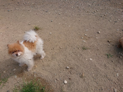 f:id:roukenhome-ann:20190814114613j:plain f:id:roukenhome-ann:20190814114613j:plain