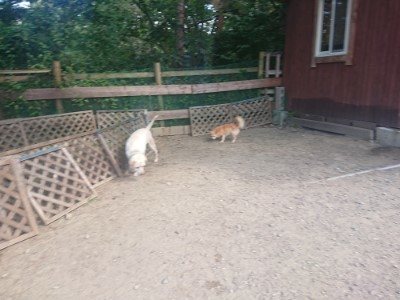 f:id:roukenhome-ann:20190814114649j:plain f:id:roukenhome-ann:20190814114649j:plain