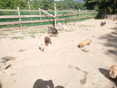 f:id:roukenhome-ann:20190814114748j:plain f:id:roukenhome-ann:20190814114748j:plain