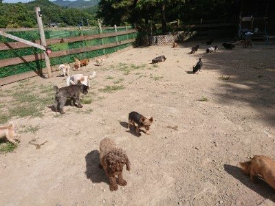 f:id:roukenhome-ann:20190814114832j:plain f:id:roukenhome-ann:20190814114832j:plain