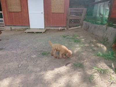 f:id:roukenhome-ann:20190814114848j:plain f:id:roukenhome-ann:20190814114848j:plain