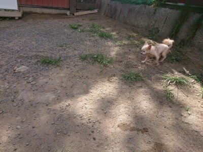 f:id:roukenhome-ann:20190814115221j:plain f:id:roukenhome-ann:20190814115221j:plain