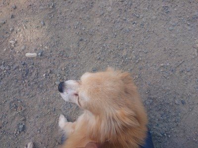 f:id:roukenhome-ann:20190814115231j:plain f:id:roukenhome-ann:20190814115231j:plain