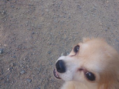 f:id:roukenhome-ann:20190814115304j:plain f:id:roukenhome-ann:20190814115304j:plain