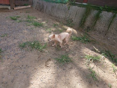 f:id:roukenhome-ann:20190814115317j:plain f:id:roukenhome-ann:20190814115317j:plain