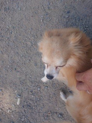f:id:roukenhome-ann:20190814115331j:plain f:id:roukenhome-ann:20190814115331j:plain