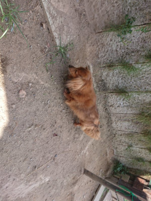 f:id:roukenhome-ann:20190814115401j:plain f:id:roukenhome-ann:20190814115401j:plain