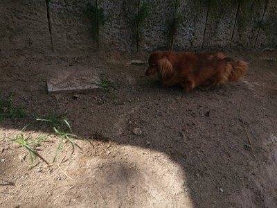 f:id:roukenhome-ann:20190814115452j:plain f:id:roukenhome-ann:20190814115452j:plain