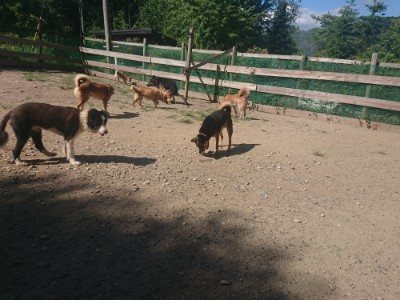 f:id:roukenhome-ann:20190814115458j:plain f:id:roukenhome-ann:20190814115458j:plain