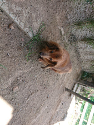 f:id:roukenhome-ann:20190814115519j:plain f:id:roukenhome-ann:20190814115519j:plain
