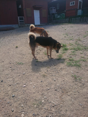 f:id:roukenhome-ann:20190814115534j:plain f:id:roukenhome-ann:20190814115534j:plain