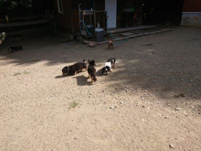 f:id:roukenhome-ann:20190814120315j:plain f:id:roukenhome-ann:20190814120315j:plain