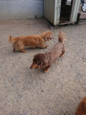f:id:roukenhome-ann:20190814120336j:plain f:id:roukenhome-ann:20190814120336j:plain