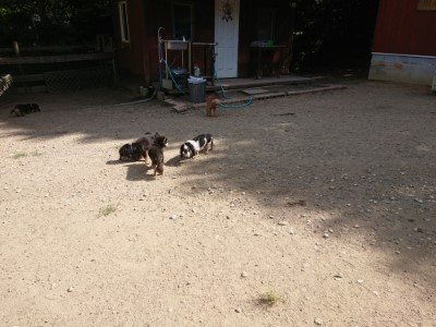 f:id:roukenhome-ann:20190814120414j:plain f:id:roukenhome-ann:20190814120414j:plain
