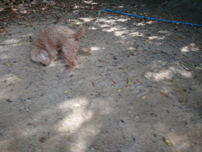 f:id:roukenhome-ann:20190814120419j:plain f:id:roukenhome-ann:20190814120419j:plain