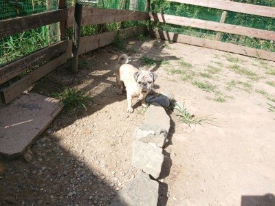 f:id:roukenhome-ann:20190814120456j:plain f:id:roukenhome-ann:20190814120456j:plain