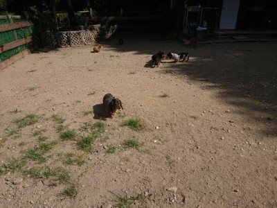 f:id:roukenhome-ann:20190814120520j:plain f:id:roukenhome-ann:20190814120520j:plain