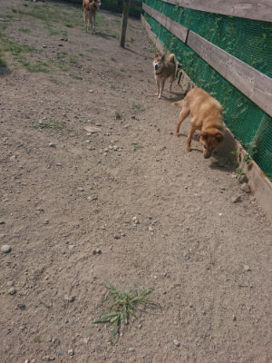 f:id:roukenhome-ann:20190814120526j:plain f:id:roukenhome-ann:20190814120526j:plain