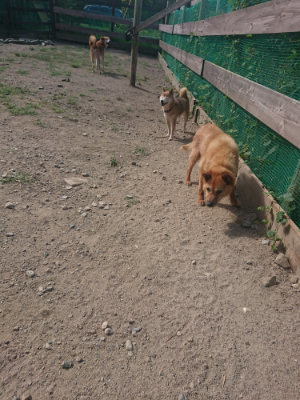 f:id:roukenhome-ann:20190814120538j:plain f:id:roukenhome-ann:20190814120538j:plain