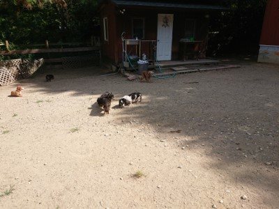 f:id:roukenhome-ann:20190814120606j:plain f:id:roukenhome-ann:20190814120606j:plain