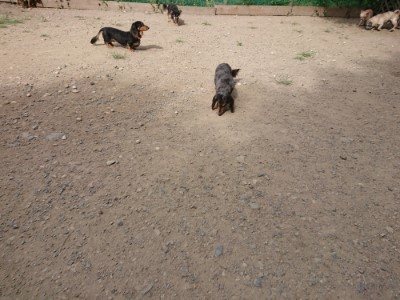 f:id:roukenhome-ann:20190814120628j:plain f:id:roukenhome-ann:20190814120628j:plain