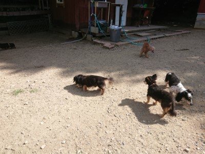 f:id:roukenhome-ann:20190814120637j:plain f:id:roukenhome-ann:20190814120637j:plain