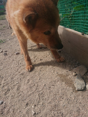 f:id:roukenhome-ann:20190814120645j:plain f:id:roukenhome-ann:20190814120645j:plain