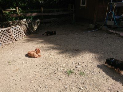 f:id:roukenhome-ann:20190814120657j:plain f:id:roukenhome-ann:20190814120657j:plain