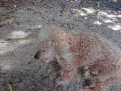 f:id:roukenhome-ann:20190814120702j:plain f:id:roukenhome-ann:20190814120702j:plain