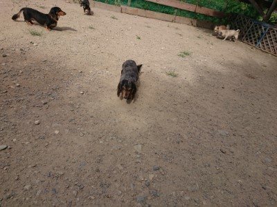 f:id:roukenhome-ann:20190814120709j:plain f:id:roukenhome-ann:20190814120709j:plain