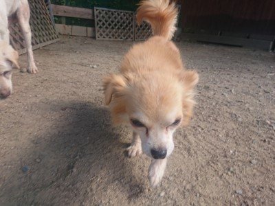 f:id:roukenhome-ann:20190814120721j:plain f:id:roukenhome-ann:20190814120721j:plain