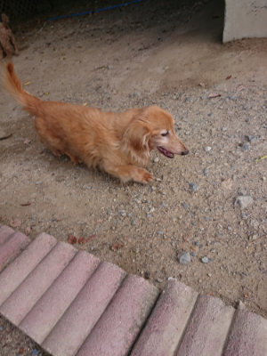 f:id:roukenhome-ann:20190814120829j:plain f:id:roukenhome-ann:20190814120829j:plain