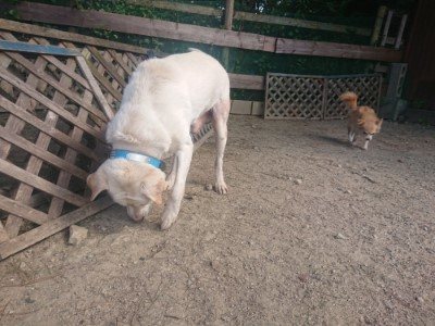 f:id:roukenhome-ann:20190814120914j:plain f:id:roukenhome-ann:20190814120914j:plain