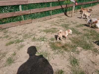 f:id:roukenhome-ann:20190814120926j:plain f:id:roukenhome-ann:20190814120926j:plain