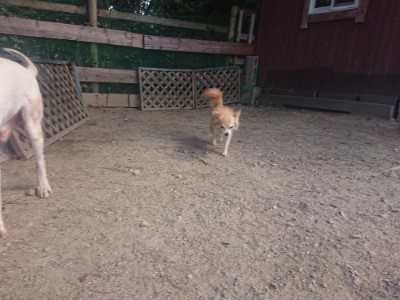 f:id:roukenhome-ann:20190814120931j:plain f:id:roukenhome-ann:20190814120931j:plain