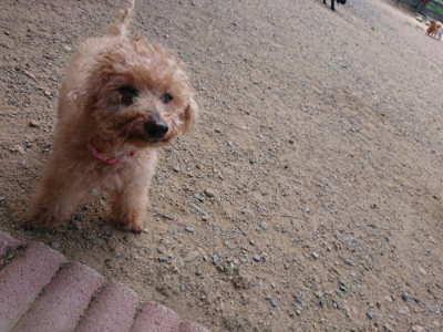 f:id:roukenhome-ann:20190814120938j:plain f:id:roukenhome-ann:20190814120938j:plain