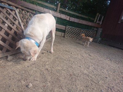 f:id:roukenhome-ann:20190814121007j:plain f:id:roukenhome-ann:20190814121007j:plain